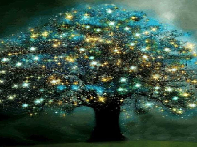 Гадание дерево желаний - как использовать магию природы для осуществления своих желаний