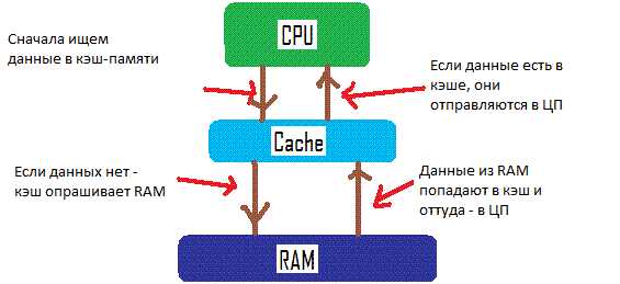 Как происходит работа кэш-памяти в процессоре?