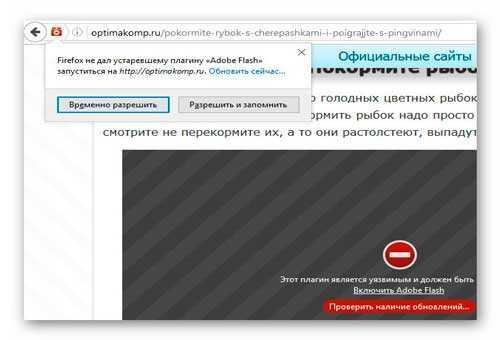 Как обновить Adobe Flash Player на компьютере?