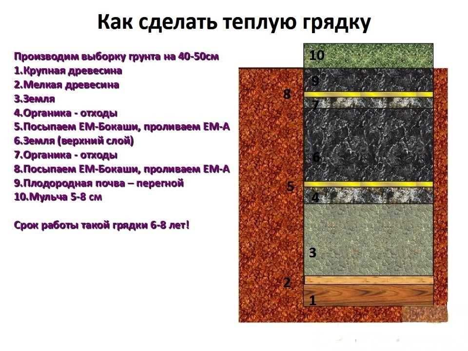 Как создать теплую грядку для огурцов