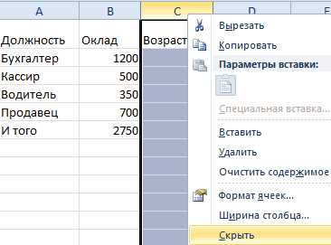 Как скрыть строки в Excel: пошаговая инструкция для программы