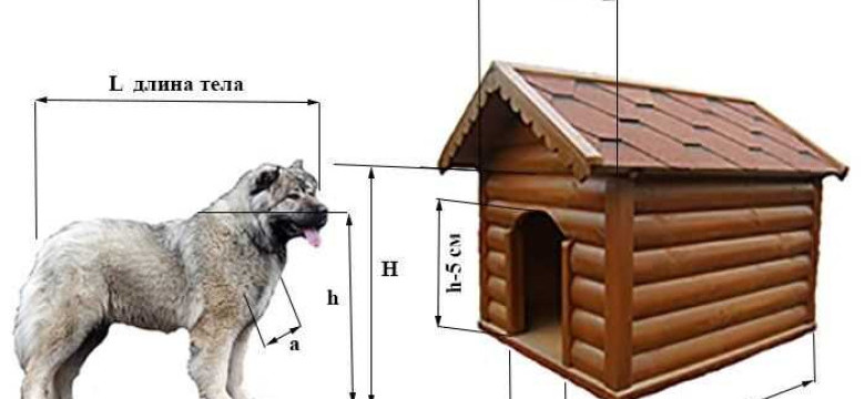 Как выбрать размер будки для собаки: советы и рекомендации