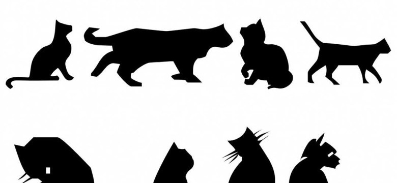 12 котов: удивительные факты о наших любимых пушистых друзьях