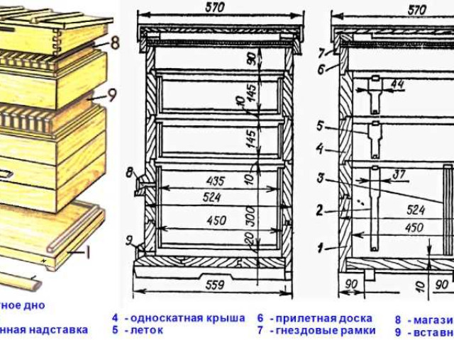 Чертеж улья дадан на 12 рамок: размеры и особенности конструкции для пчеловодов
