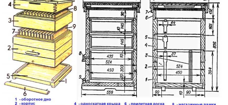 Чертеж улья дадан на 12 рамок: размеры и особенности конструкции для пчеловодов
