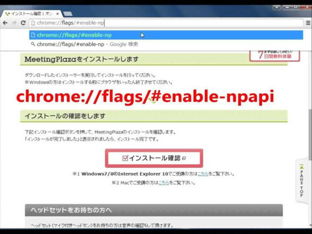 Как включить NPAPI через флаги Chrome
