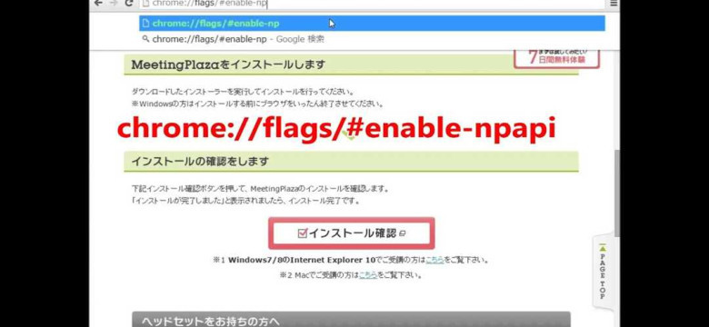 Как включить NPAPI через флаги Chrome