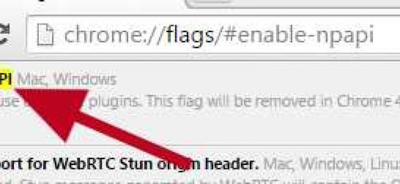 Включение NPAPI в Chrome с помощью флагов