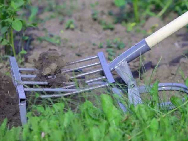 Как выбрать самую эффективную лопату крот для работы в саду: советы и рекомендации
