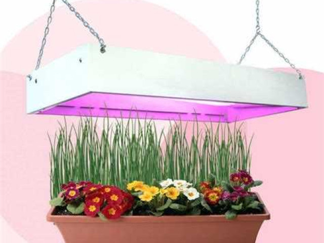 Фитолампы светодиодные: как выбрать и использовать для растений. Гайд для садоводов и любителей домашнего огорода