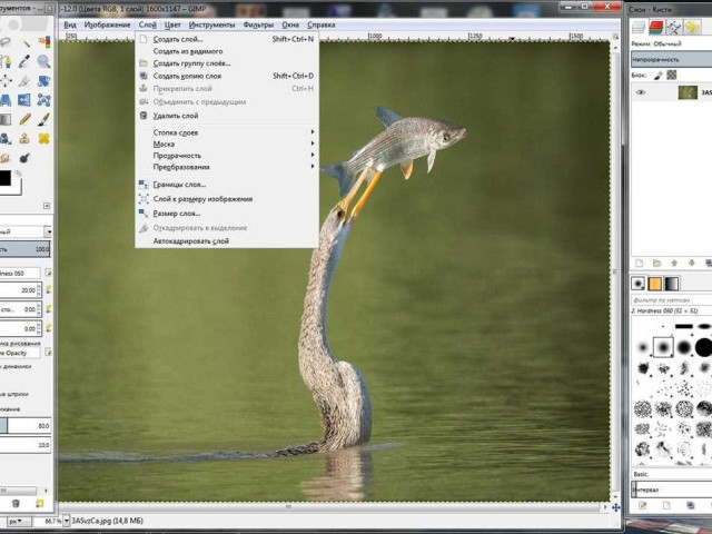 Графический редактор GIMP: функционал, обучение, инструменты