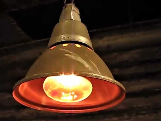 Инфракрасные лампы для обогрева курятника: правила выбора и оптимальное использование
