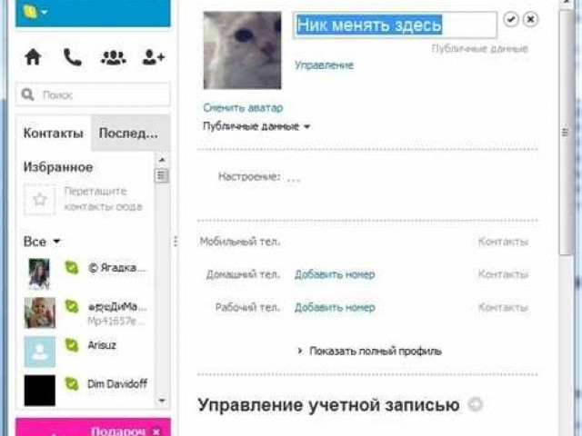 Как изменить логин в Skype: простое руководство