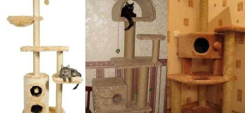 Как сделать дом для кота своими руками: пошаговые инструкции и профессиональные чертежи