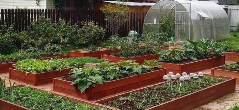 Профессиональные советы по созданию умной грядки в саду: как сделать так, чтобы растения росли лучше всего