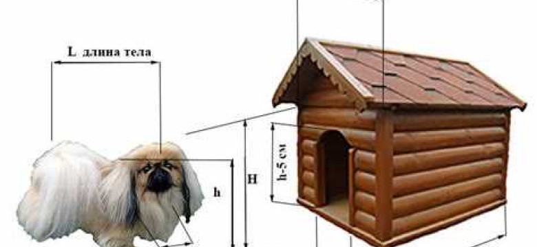 Как сделать будку для собак своими руками: пошаговые инструкции с фото. Лучший способ обустроить комфортный дом для вашего питомца