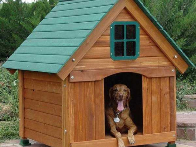 Как своими руками сделать комфортную будку для собаки: подробная инструкция с фото