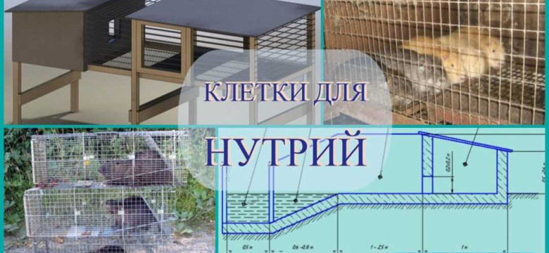 Пошаговая инструкция и фото: как сделать клетки для нутрий своими руками