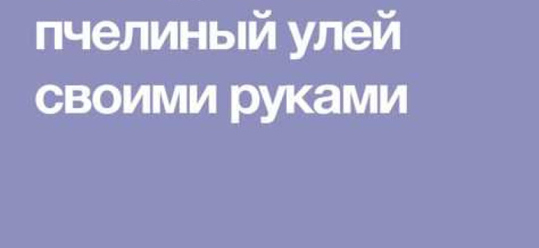 Сделайте улей своими руками: подробное руководство для начинающих пчеловодов