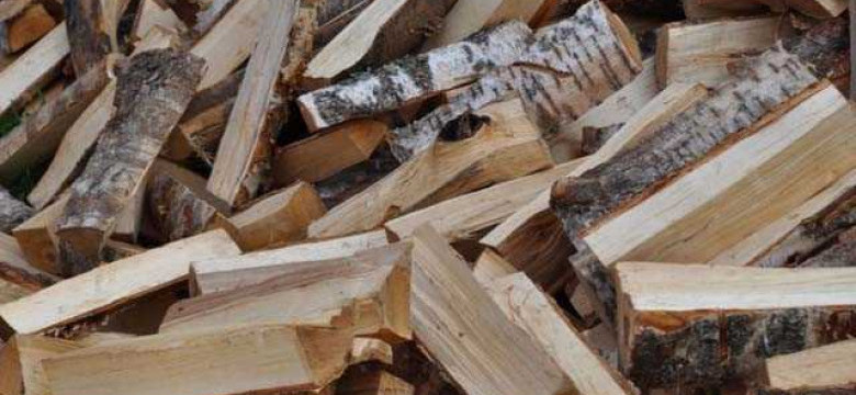 Как выбрать идеальные дрова для бани: экспертные советы и проверенные рекомендации