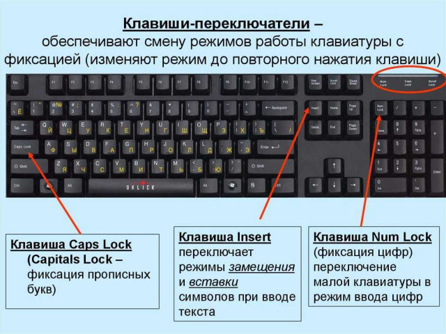 Как включить клавиатуру на компьютере на экране