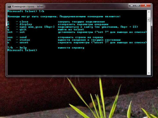 Команда telnet: руководство по использованию