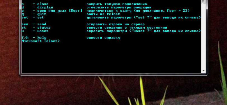 Команда telnet: руководство по использованию