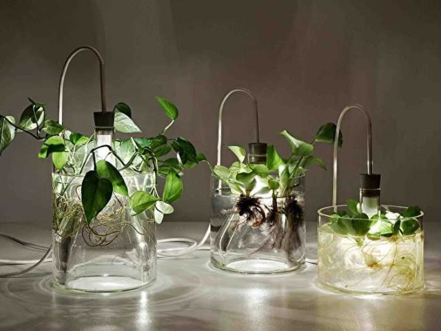 Лампы для растений: как выбрать оптимальный вариант для рассады и выращивания урожая в домашних условиях