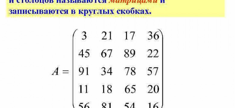 Массив 1С: основные аспекты и применение в программировании