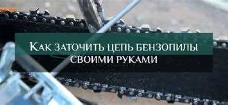 Как правильно заточить цепь бензопилы своими руками: полезные советы для домашних мастеров