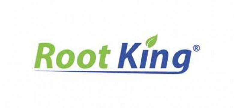 Король корней: основные преимущества ROOT прав на Android