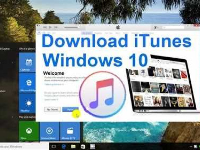 Как скачать и установить iTunes на Windows 10