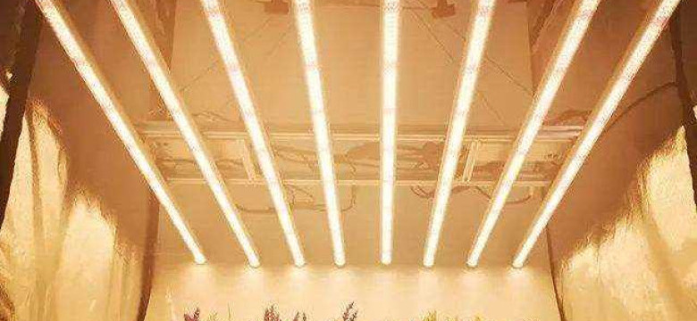 Светодиодное освещение для теплиц: эффективные и экологичные решения