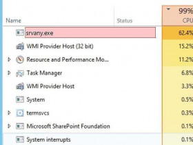 Что такое Srvany.exe и как он работает?