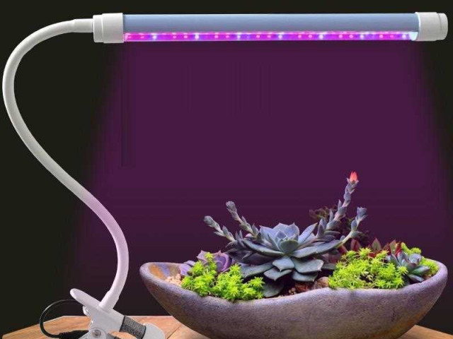 Светодиодные лампы для растений: как правильно использовать их в домашнем саду