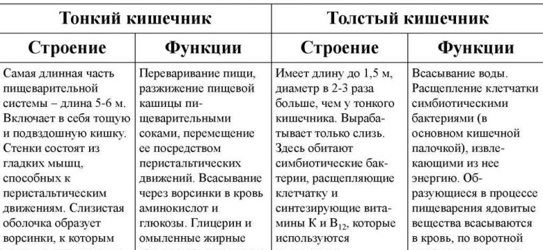 Толстый и тонкий клиент 1С: отличия и особенности