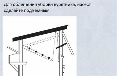 Шаг за шагом: инструкции по созданию куриного насеста