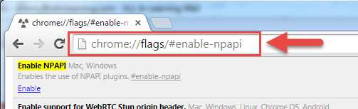 1. Включение NPAPI с помощью расширения в Chrome
