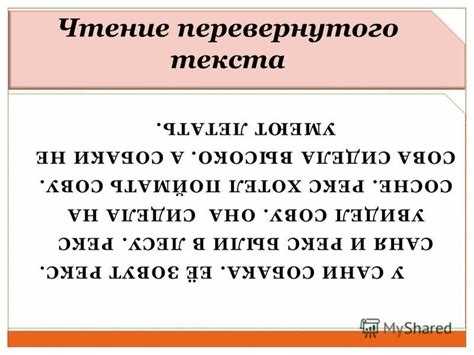 Как быстро и бесплатно перевернуть текст онлайн