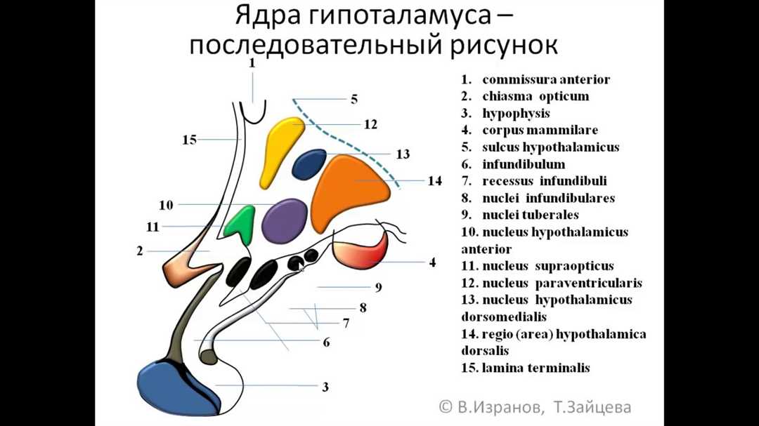 Особенности промежуточных продуктов и их применение в различных областях