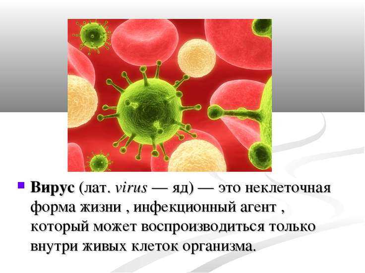 Опасности, связанные с загрузкой вирусных файлов