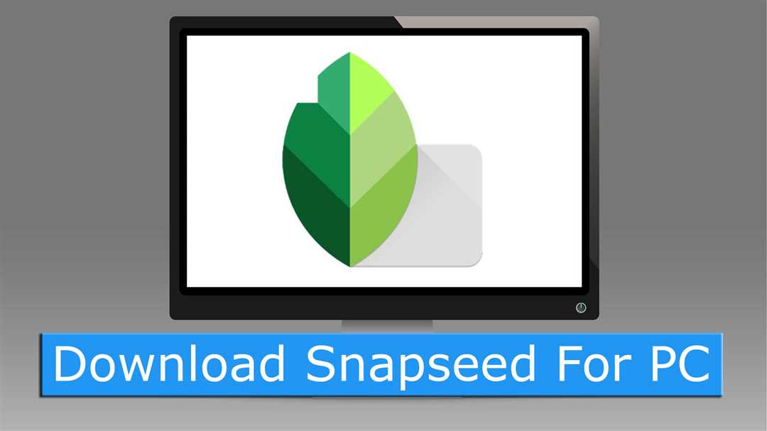 Snapseed онлайн: возможности редактирования фото бесплатно и без скачивания