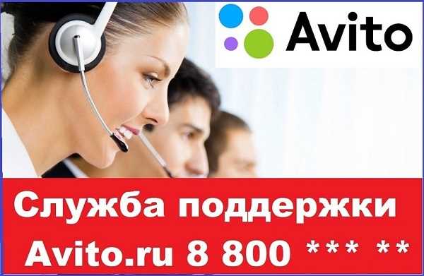 Телефон технической поддержки Авито