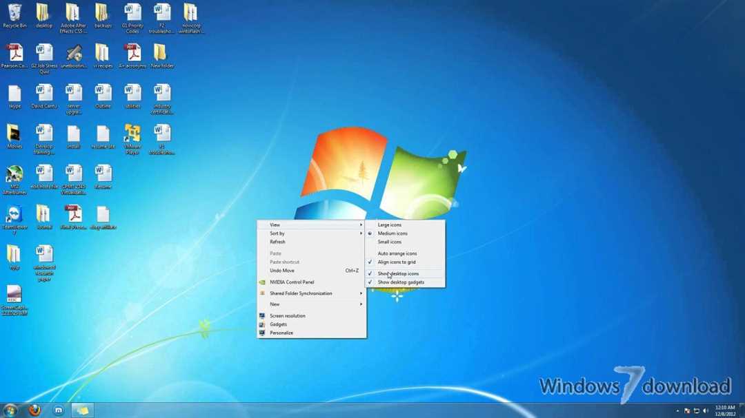 Windows 7 Professional